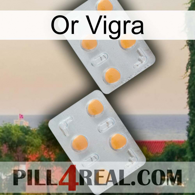 Gold Vigra 25